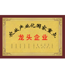 国家级龙头企业
